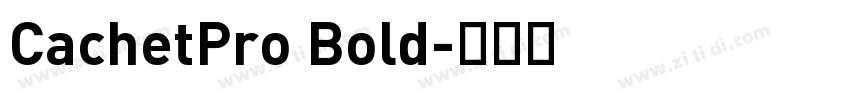 CachetPro Bold字体转换